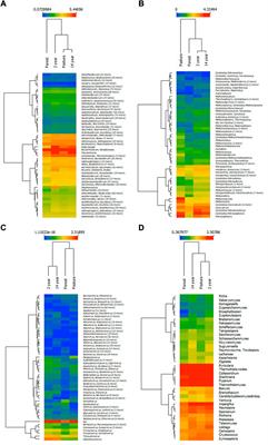 Influence of soil management for soybean production under microbial diversity in amazon soils